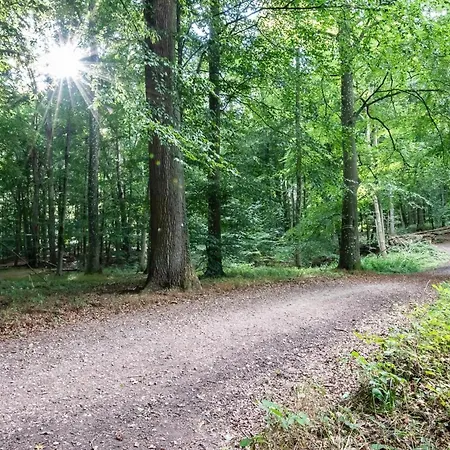 Dom wakacyjny Ferienhaeuser Luebecker Bucht Beachcomber *