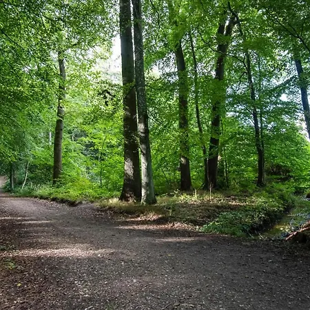 Ferienhaeuser Luebecker Bucht Beachcomber Haffkrug